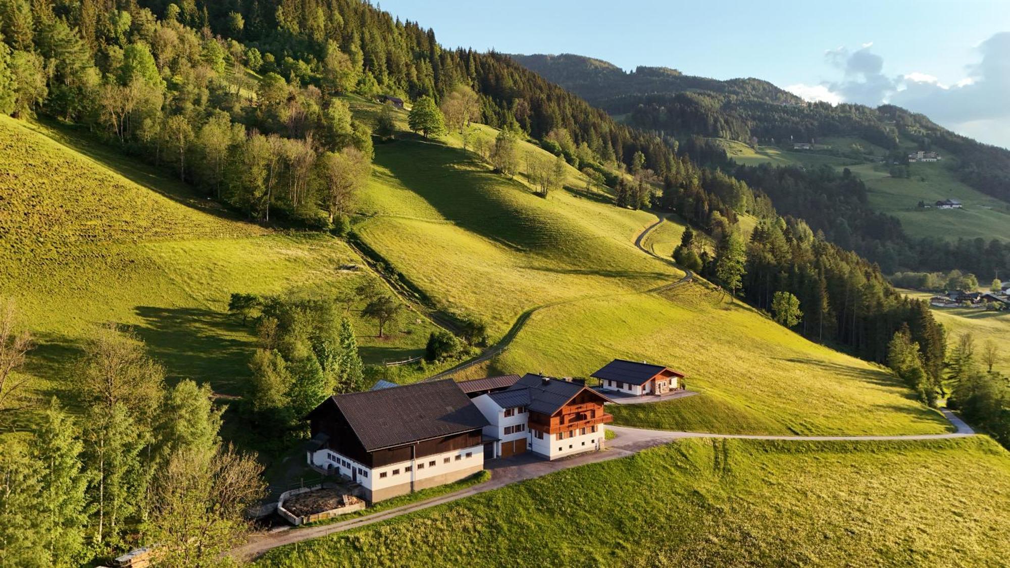 Apartments Frechhof Schladming Eksteriør billede